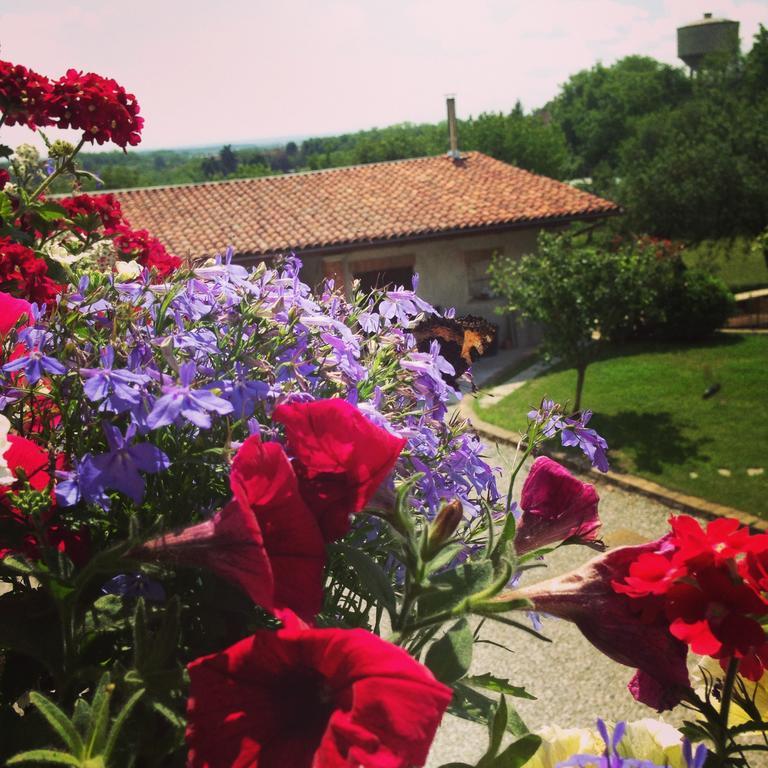 Agriturismo Fruttirossi Trofarello Exterior photo